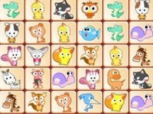 Pet Link Puzzle
