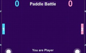 Paddle Rally 2.0 Arcade Sports